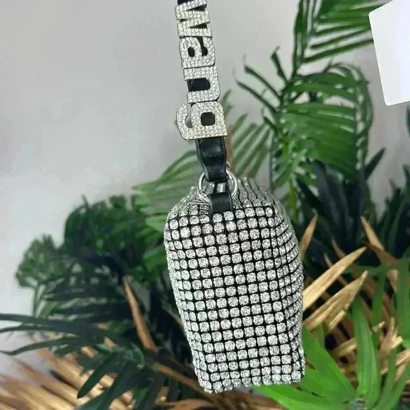 ✨ Alexander Wang Rhinestone Mesh Pouch - Picture 9 of 9